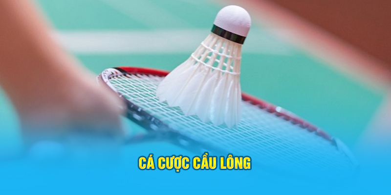 Cá cược cầu lông