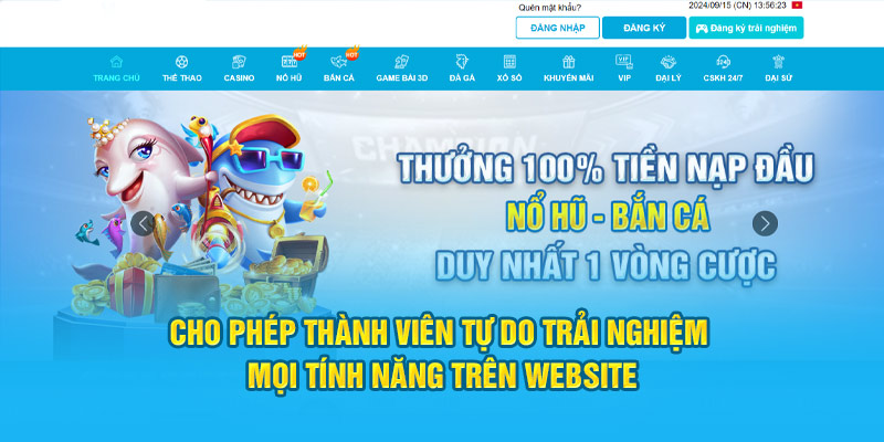 Cho phép thành viên tự do trải nghiệm mọi tính năng trên website