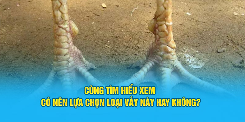 Cùng tìm hiểu xem có nên lựa chọn loại này không?