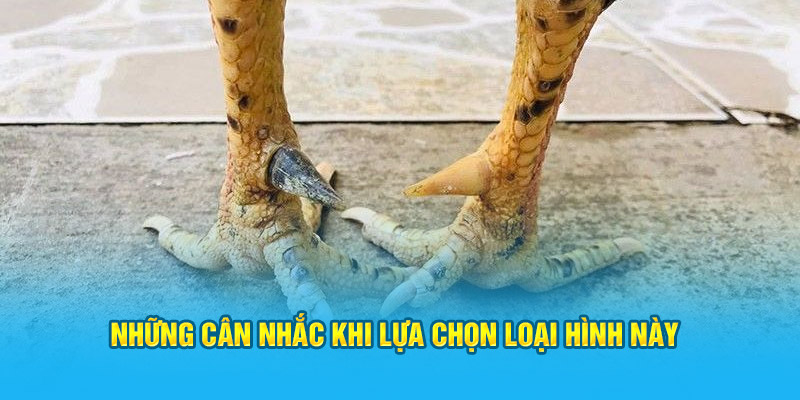 Những cân nhắc khi lựa chọn loại hình này