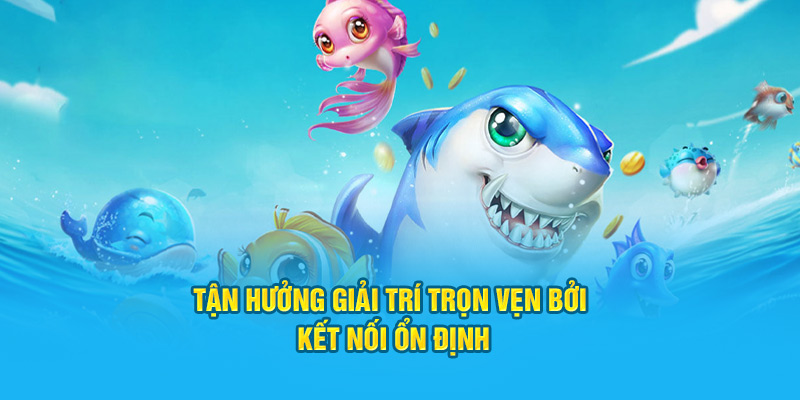 Tận hưởng hành trình giải trí trọn vẹn bởi kết nối ổn định 